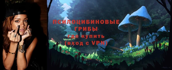 PSILOCYBIN Армянск