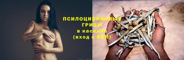ECSTASY Няндома