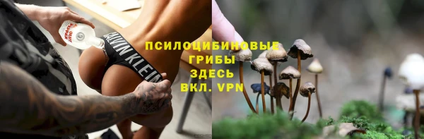 твердый Аркадак