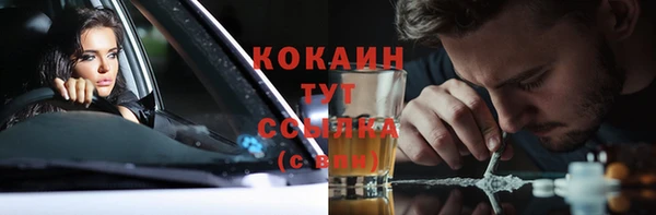 PSILOCYBIN Армянск