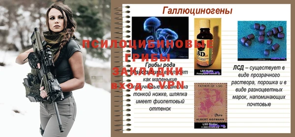 твердый Аркадак