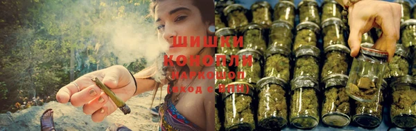 PSILOCYBIN Армянск