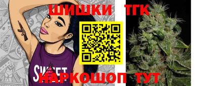 индика Ливны