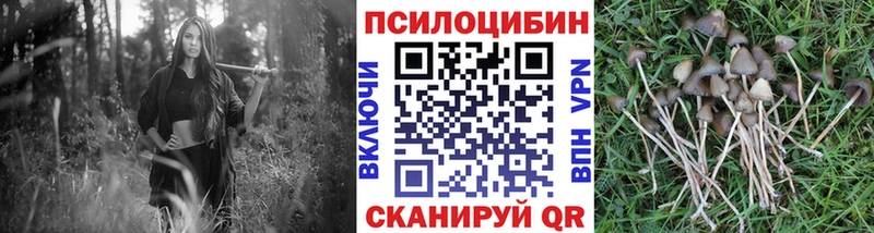 Псилоцибиновые грибы мухоморы где найти наркотики Чернушка