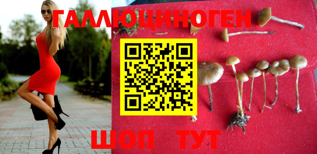 Чернушка  Галлюциногенные грибы Cubensis  Вход с VPN  Галлюциногенные грибы мицелий 